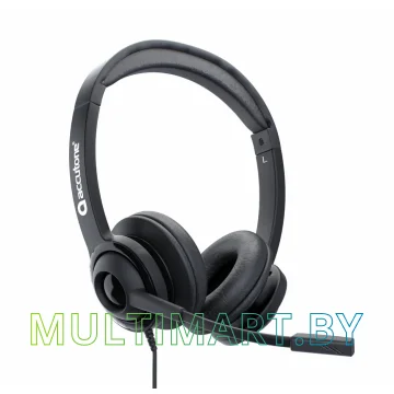 Наушники Accutone UB210 USB Comfort